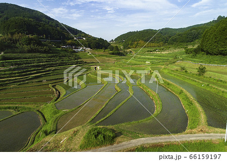 日本棚田百選「大垪和西の棚田」 66159197