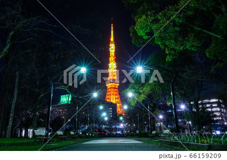 東京タワー 芝公園4号地からの夜景 66159209