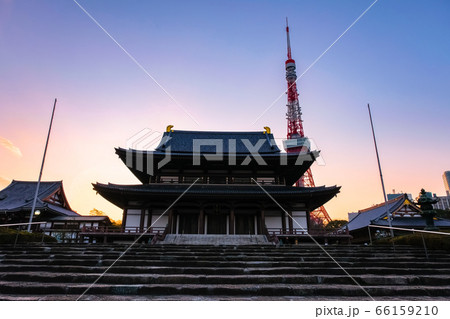 夕暮れの増上寺と東京タワー 66159210