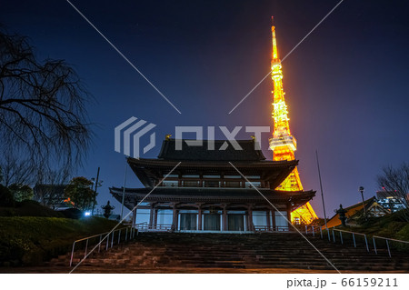 増上寺と東京タワー 夜景 66159211