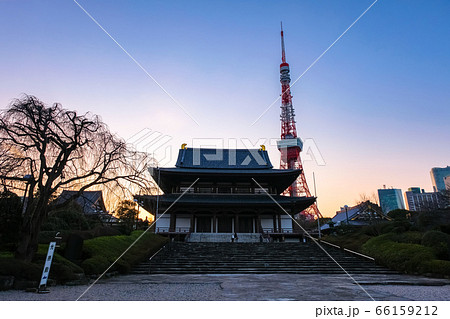 夕暮れの増上寺と東京タワー 66159212