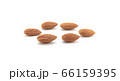 Group Almonds isolated on white. 66159395