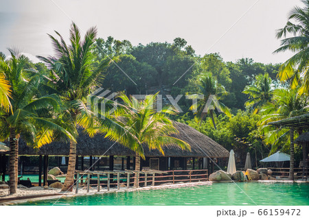 Swimming pool, palm trees and tropical buildings with thatched roof Swimming pool, palm trees and tropical buildings with thatched roof 66159472
