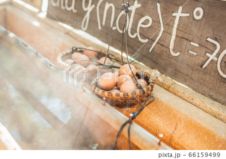 Hot natural underground thermal water is used to boil chicken eggs in some volcanic activity area. 66159499