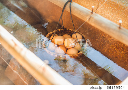 Hot natural underground thermal water is used to boil chicken eggs in some volcanic activity area. 66159504