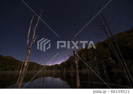 枯れ木の森 落合湖星景 66159521
