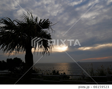 三宅島の海 66159523