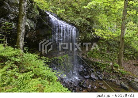 岩井滝(岡山県苫田郡鏡野町) 岩井滝(岡山県苫田郡鏡野町) 66159733