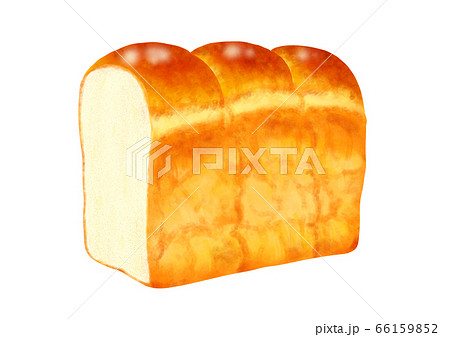 食パン一斤～プレーン山型 66159852