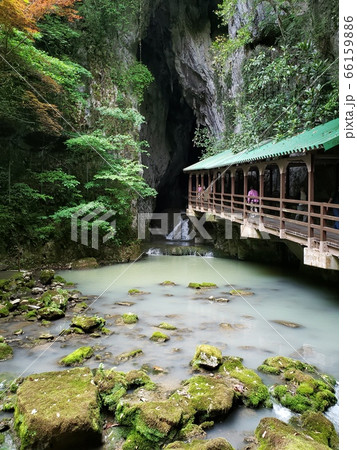 秋芳洞への入口 秋芳洞への入口 66159886