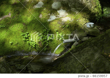 名水岩井　岩井滝近くの湧水（（岡山県苫田郡鏡野町） 66159957