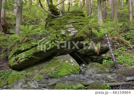名水岩井　岩井滝近くの湧水（（岡山県苫田郡鏡野町） 66159964