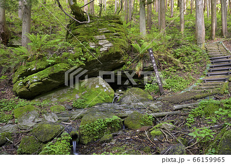 名水岩井 岩井滝近くの湧水((岡山県苫田郡鏡野町) 名水岩井 岩井滝近くの湧水((岡山県苫田郡鏡野町) 66159965