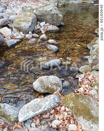 波 屋外 川 66160646