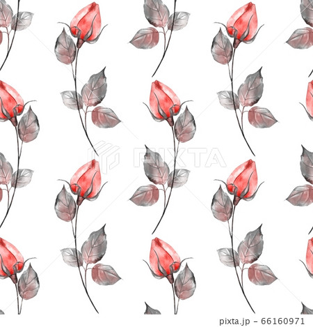 Seamless floral pattern with watercolor roses 66160971