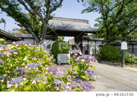 大塚性海寺 山門 大塚性海寺 山門 66161530