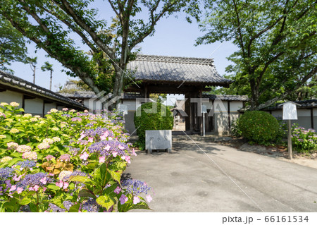 大塚性海寺 山門 大塚性海寺 山門 66161534