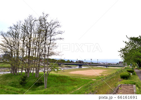 馬見ヶ崎川河川敷 馬見ヶ崎橋 66161691
