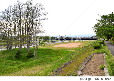 馬見ヶ崎川河川敷 馬見ヶ崎橋 66161692