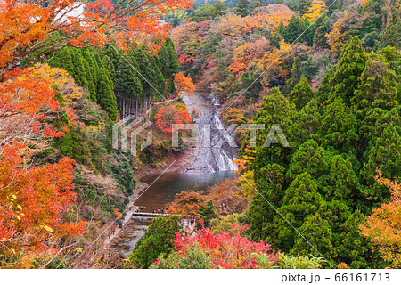 （千葉県）房総養老渓谷の粟又の滝 66161713