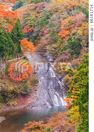 （千葉県）房総養老渓谷の粟又の滝 66161714