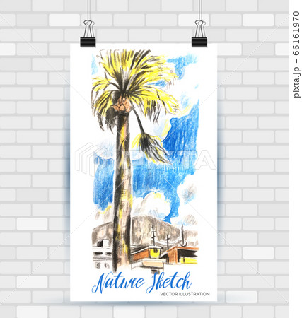 Sketching illustration in vector format. Poster with beautiful palm on the beach . Hand drawn illustration. 66161970