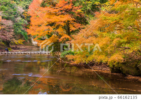 （千葉県）房総養老渓谷の紅葉 66162135