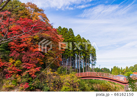 （千葉県）房総養老渓谷の紅葉 66162150