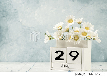 White cube calendar for june decorated with daisy 66165766