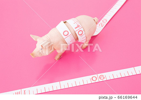 ダイエット 66169644