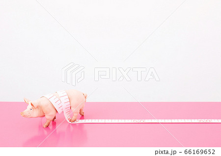 ダイエット ダイエット 66169652
