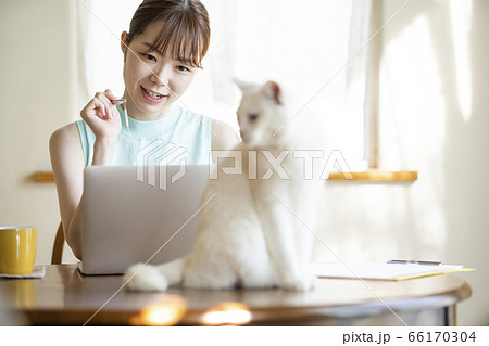 自宅でパソコンをする女性 66170304