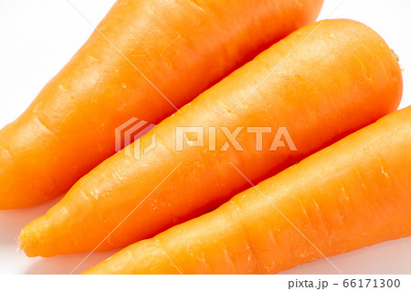 ニンジン。(白バック) ニンジン。(白バック) 66171300