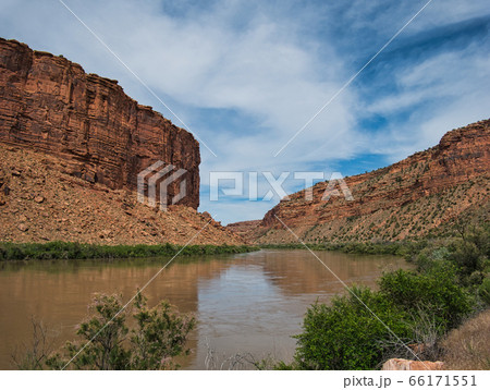 The Colorado River between the red cliffs 66171551