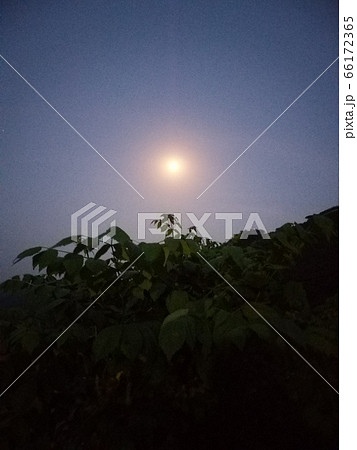 自然 夜 夜空 66172365