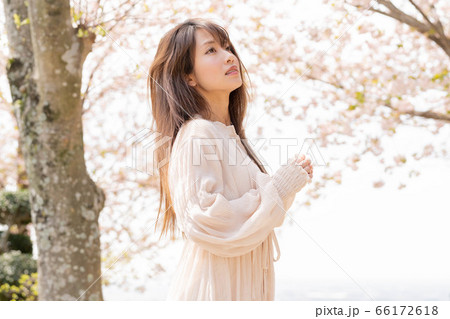 美しい女性 美しい女性 66172618