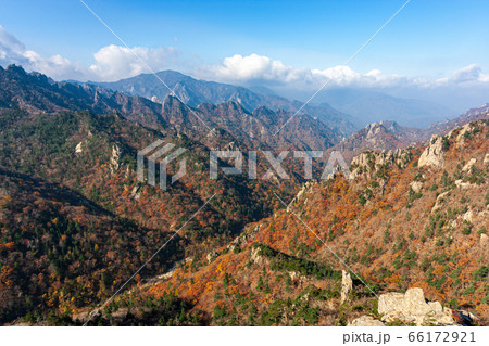 秋 紅葉 風景 66172921