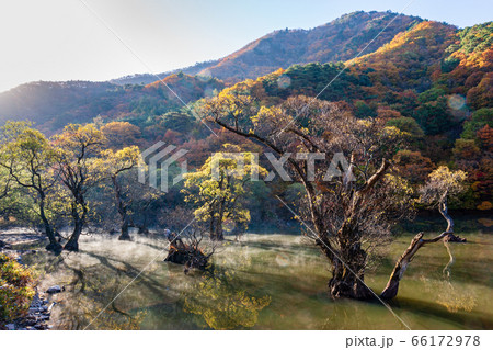 青松 貯水池 反射 66172978