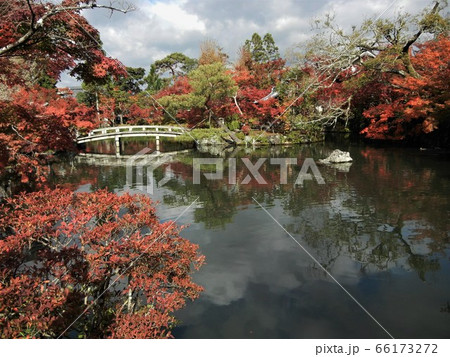 京都の禅林寺(永観堂)の法生池と極楽橋と紅葉 京都の禅林寺(永観堂)の法生池と極楽橋と紅葉 66173272