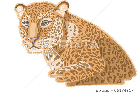豹のイラスト素材