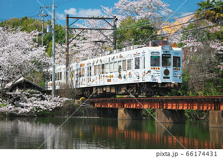 わかやま電鉄貴志川線 66174431