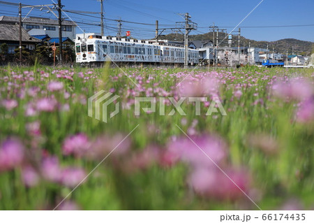 わかやま電鉄貴志川線 66174435