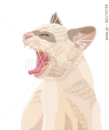 あくびする猫のイラスト素材