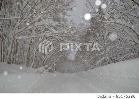 八甲田雪 66175230