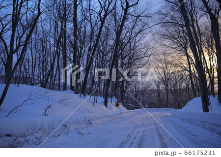 八甲田雪道 66175231