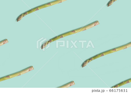 Seamless pattern from fresh natural asparagus spears on a pastel green background. Flat lay. Seamless pattern from fresh natural asparagus spears on a pastel green background. Flat lay. 66175631