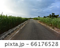 宮古島の田舎道 66176528