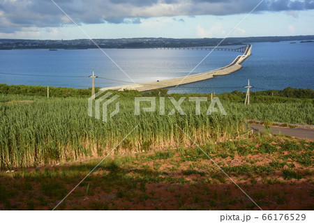 夕方の伊良部大橋 66176529