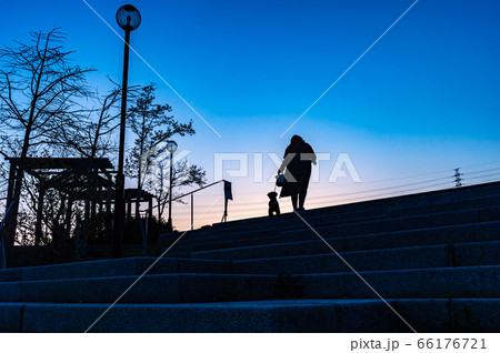 宝塚北公園、夕景のシルエット、犬を連れた婦人 66176721