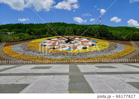 十勝が丘公園のハナック（2020年6月上旬） 66177827